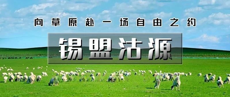 「特惠-锡盟沽源-库伦淖尔花海开放」8.9~8.10 | 好评超高，内蒙河北双草原の打卡牛奶湖-九曲十八湾-篝火蹦迪-无人机烟花