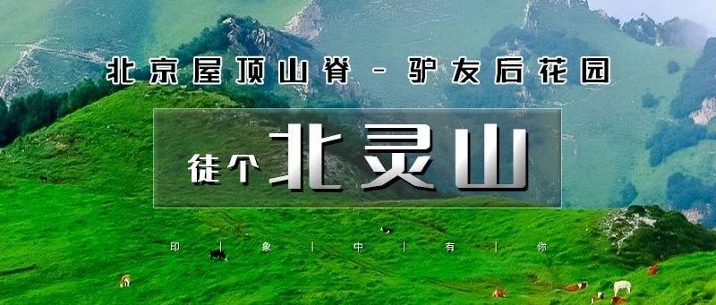 「特惠-北灵山」8.9/8.10 | 北京驴友后花园の屋顶山脊-高山草甸 10公里徒步穿越