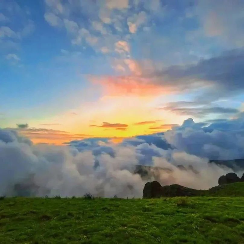 空中草原露营•京西小伊犁｜寻找世界名花“雪绒花”-烧烤-夜空漫天星辰-云海-日出