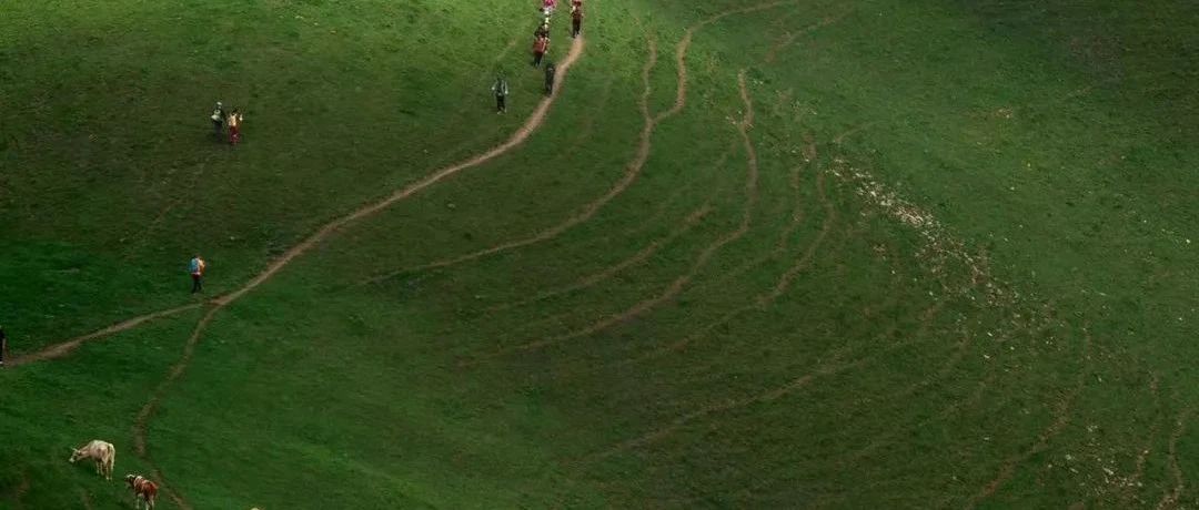 初级适度 | 8.10 周日 | 安全沟梁 「高山草甸」「避暑」