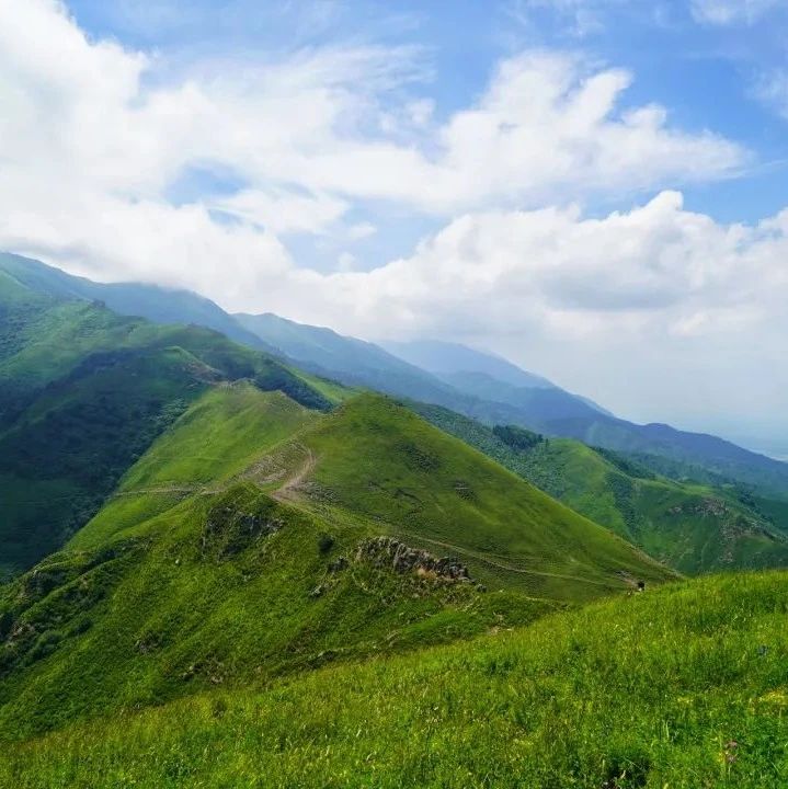 初级进阶 | 8.10 周日 | 天马草原「云中漫步」