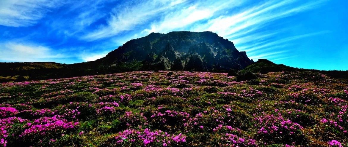 热门活动-国际特种兵丨9.13-14丨韩国第一高峰汉拿山与世界十大环岛徒步路线偶来小路