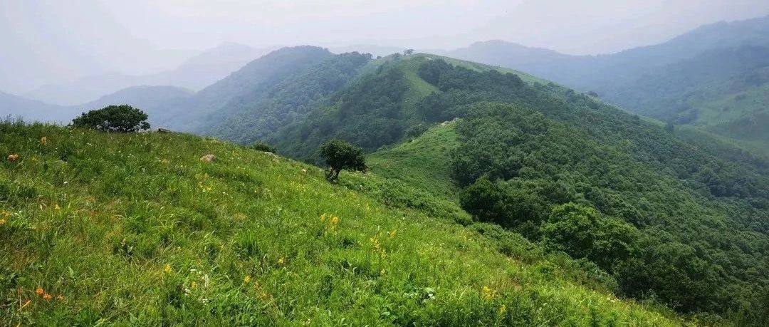 初级适度 | 8.23周六 | 海坨南大梁，绝美草甸山脊线