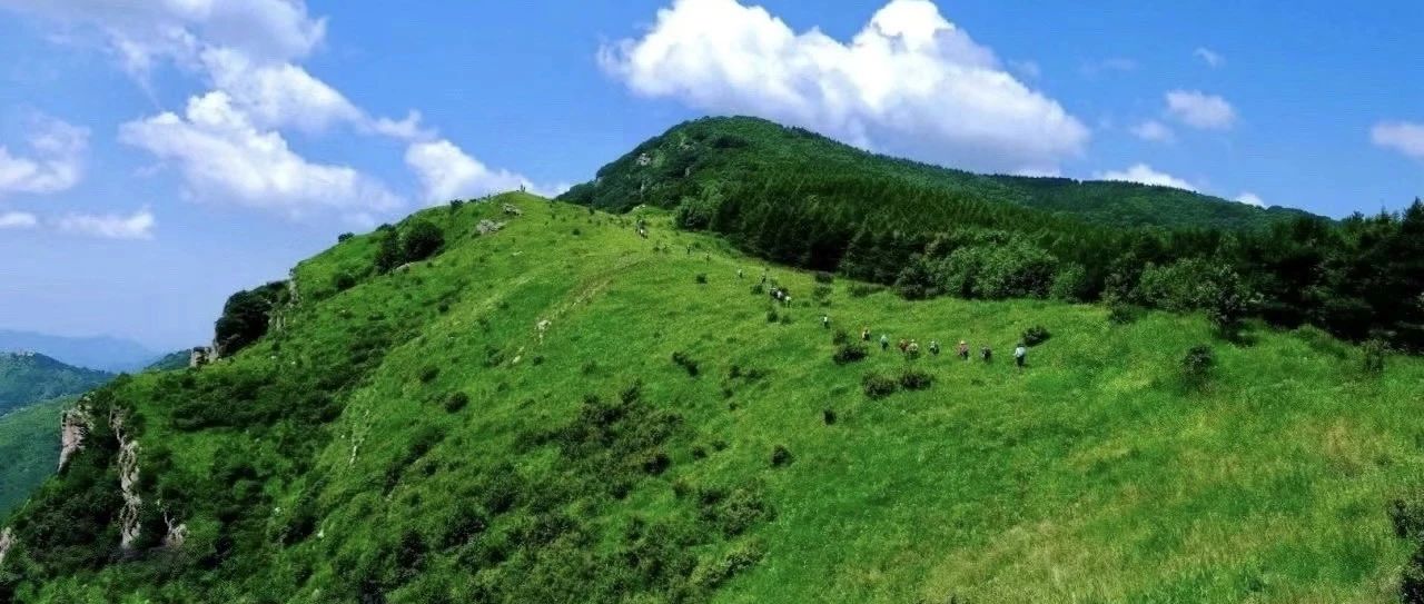 初级适度 | 8.23周六 | 老龙窝松林草甸徒步