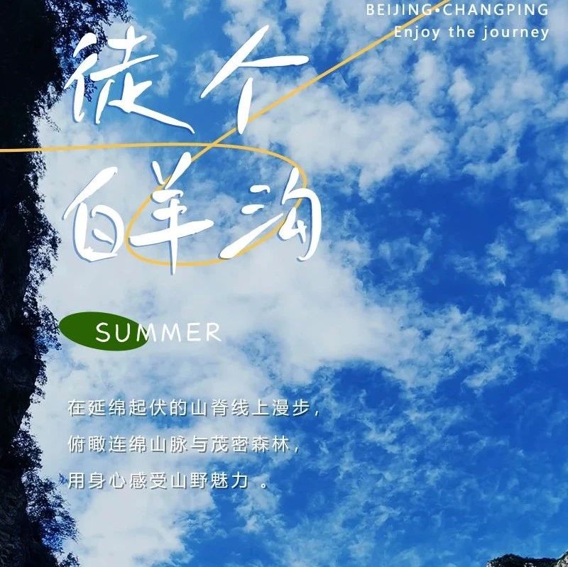 热门活动-白羊沟野趣の林泉山-白羊沟山脊线-黑寨村8公里徒步<初级>