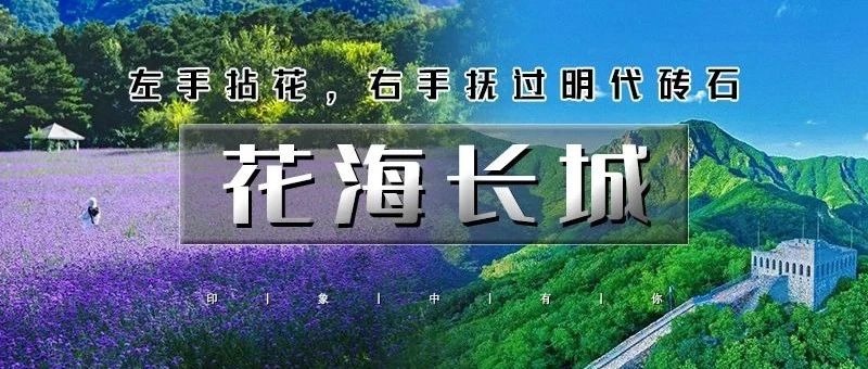 四季花海+九眼楼长城の花开时节-百花齐放-争齐斗艳-万里长城第一楼