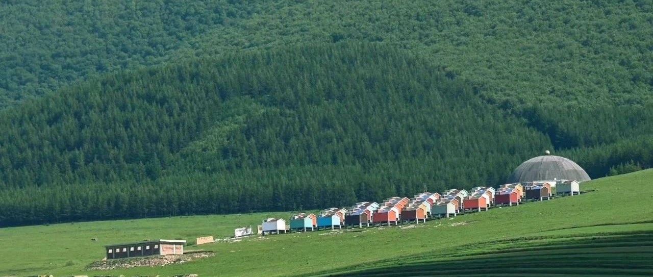 入门休闲 | 8.30周六 | 「油画世界」桦皮岭