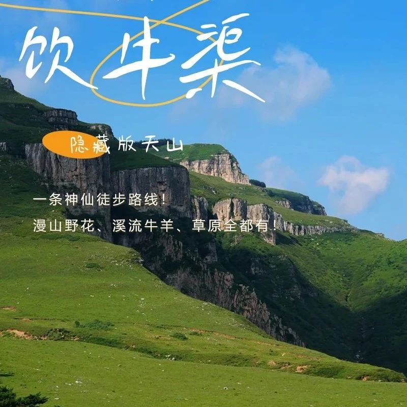 饮牛渠｜小众高山草甸秘境の漫山野花+溪流牛羊+空中草原徒步穿越14公里