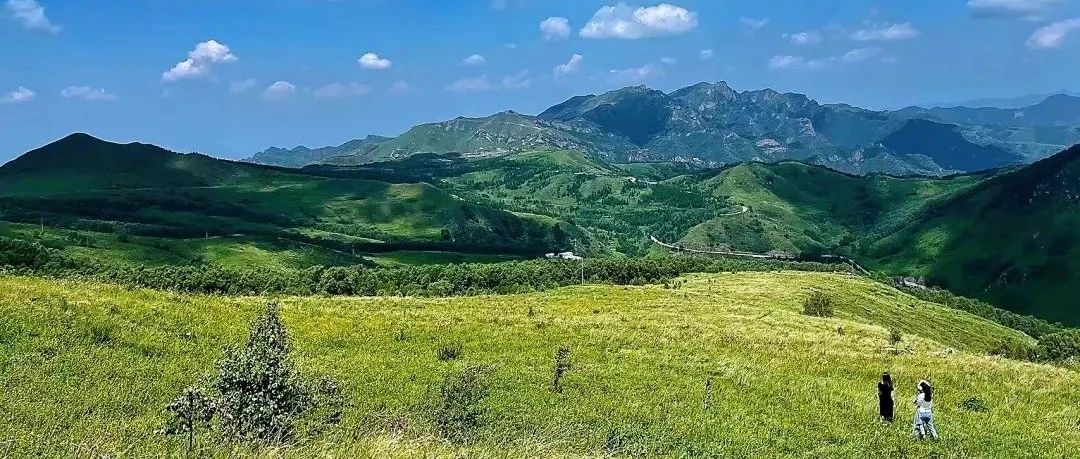 热门活动-东灵山徒步！凉爽高山草甸，超美！[周六、周日]