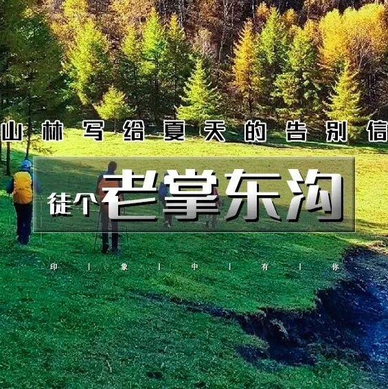 「老掌东沟」9.6 周六 | 抢先打卡北京周边“小喀纳斯”の高山草甸+松树林+湖泊+漫山遍野花朵<初级>