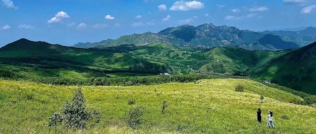 东灵山徒步！凉爽高山草甸，超美！[周六、周日]