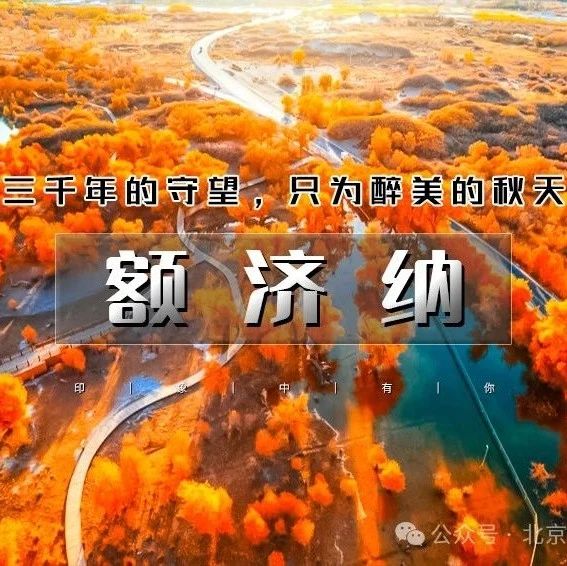 热门活动-「额济纳」国庆5天 | 为千年胡扬林而来の额济纳-黑城怪树林-居延海-中蒙边境