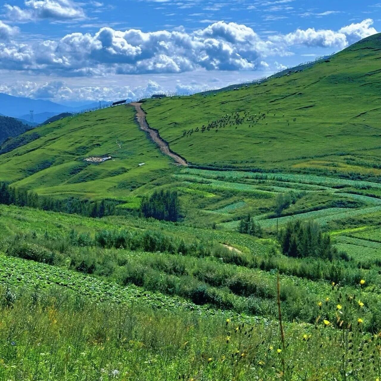 饮牛渠徒步！绿野仙踪'小瑞士' [周六]