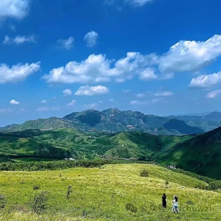 热门活动-东灵山徒步！凉爽高山草甸，超美！[周六、周日]
