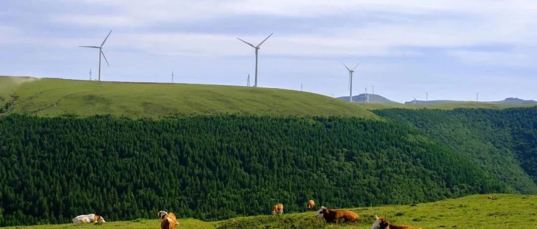 入门休闲 | 9.6 周六 | 麻田岭看油画世界