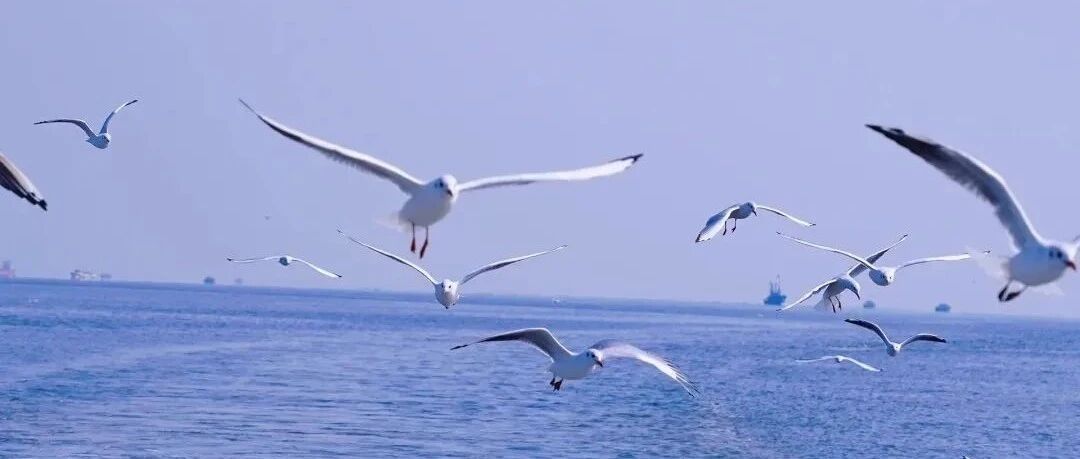 入门休闲 |  9.13周六  | 