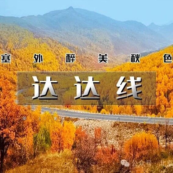 「特惠-达达线」国庆4天 | 绚彩塞北の美林谷-西拉沐沦-黄岗梁-阿斯哈图石林-勃隆克沙漠-玉龙沙湖