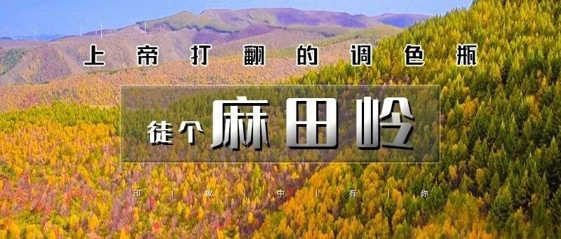 热门活动-「特惠-麻田岭赏秋」9.27/国庆1日 | 绝色麻田岭赏秋，10公里小环穿<初级>