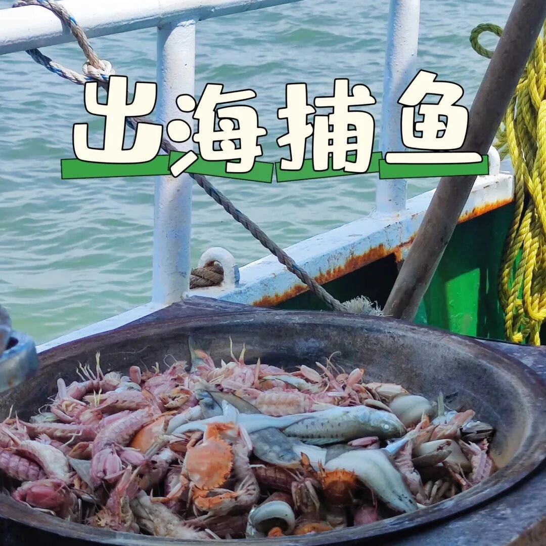 热门活动-国庆1日 天津出海捕鱼•做一日渔夫の享受肥美海鲜大餐，体验包一条船的游玩之旅