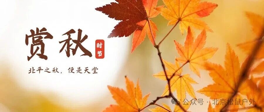 「特惠-喇叭沟门赏秋」10.12 周日 | 穿越原始森林の走进五彩斑斓童话世界-探寻北京最美秋色