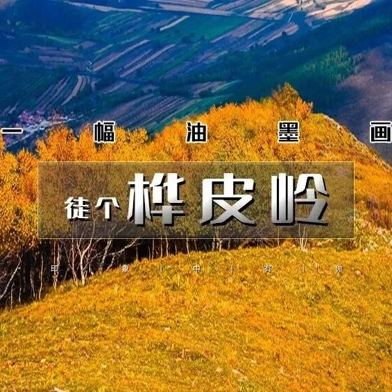 桦皮岭|一幅油墨画の草原天路桦皮岭9公里徒步<初级强度>