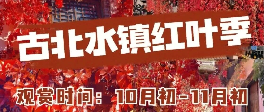 古北水镇 司马台长城 赏无人机表演夜景 音乐喷泉|北平江南