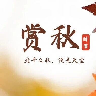 热门活动-「特惠-麻田岭赏秋」10.18/10.19 | 绝色麻田岭赏秋，10公里小环穿<初级>