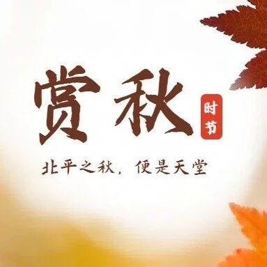 热门活动-「特惠-东灵山」10.18/10.19 | 秋染灵山の挑战北京最高峰-腾云驾雾赏旷世之美<初中级强度>