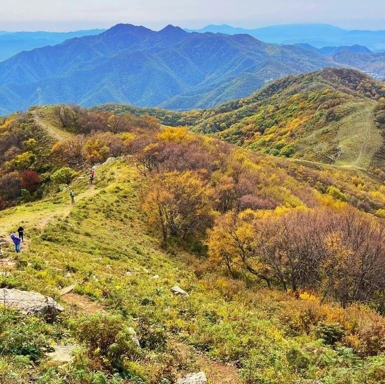 热门活动-海坨山徒步！重温经典 [周六]