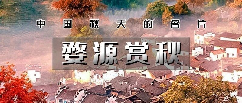 热门活动-「特惠-婺源赏秋A休闲行」11.8~11.9/11.15~11.16 | 打卡婺女洲-篁岭晒秋-石城晨雾-菊径村-虹关村-察关村