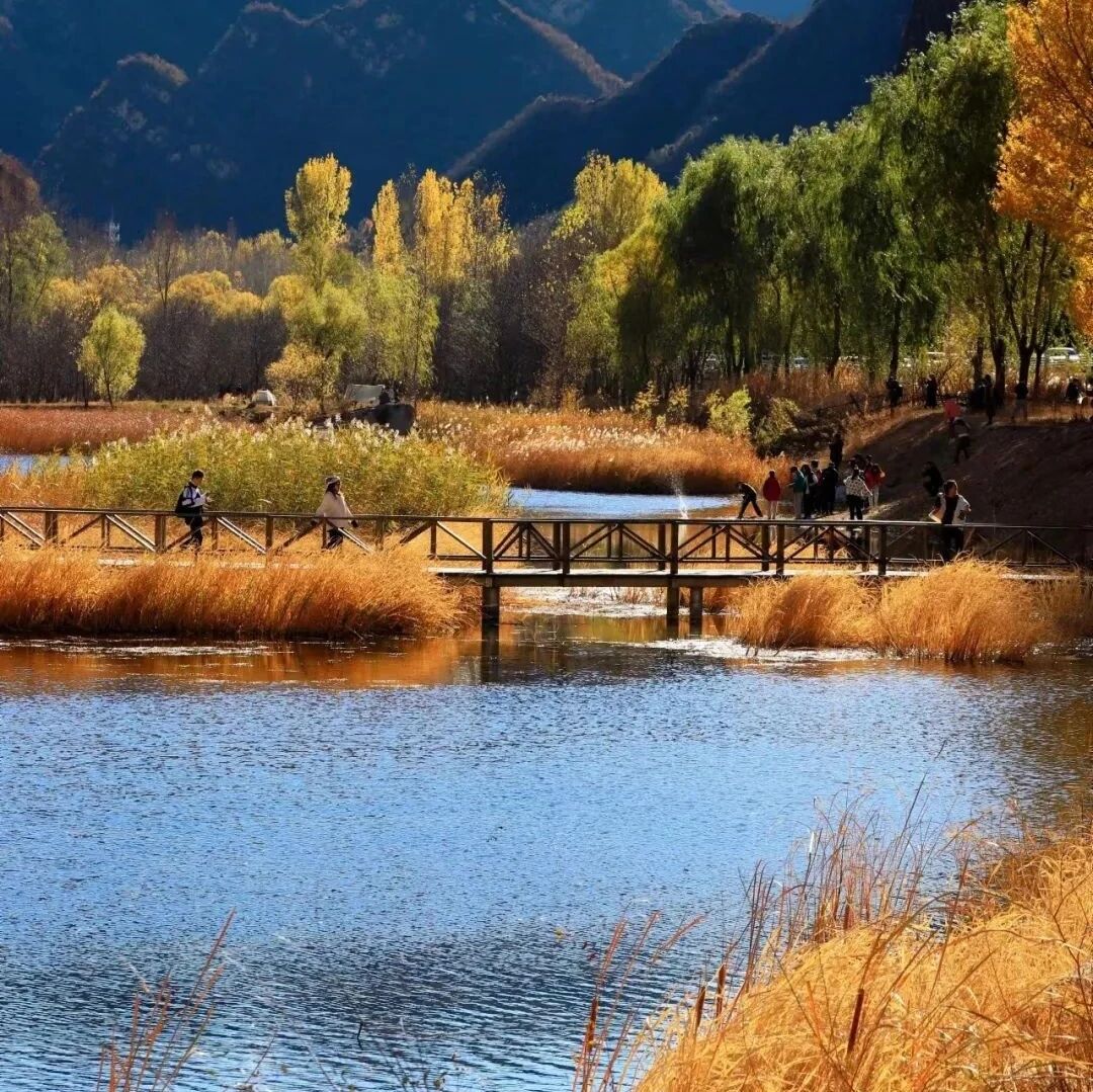 活动封面-百里画廊秋色！休闲徒步无爬升 [周六、周日]