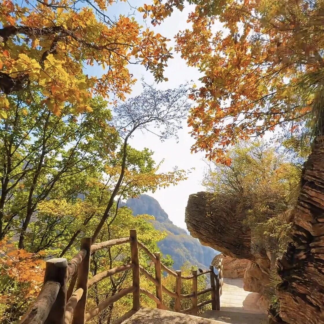 【初级】【白石山限时 免门票】11月1日:白石山「太行之巅」秋冬之旅
