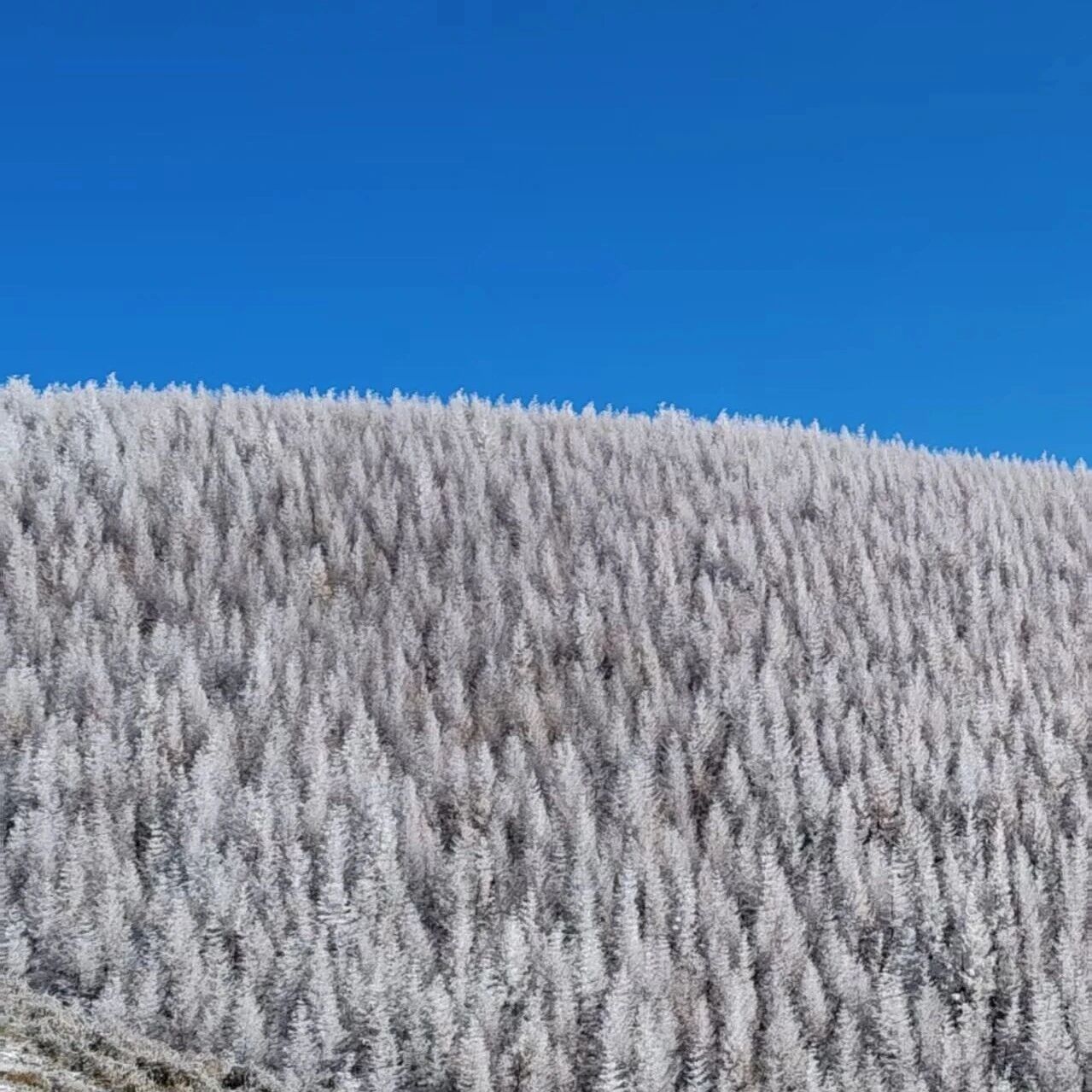 热门活动-麻田岭秋色 小天山の10公里小环穿