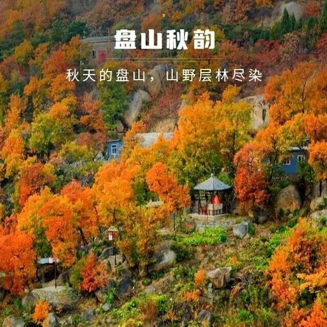 热门活动-特惠盘山红叶季の红叶古寺完美结合-津门十景-红叶秋韵-国家5A景区