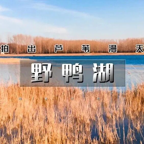 热门活动-野鸭湖｜网红打卡拍出芦苇漫天の北京城郊藏着的大西北-永宁古城-柳沟豆腐宴