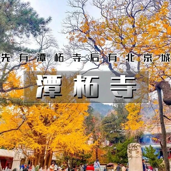 活动封面-千年古刹潭柘寺+北宫国家森林公园赏秋｜古银杏 佛塔 古树 红叶