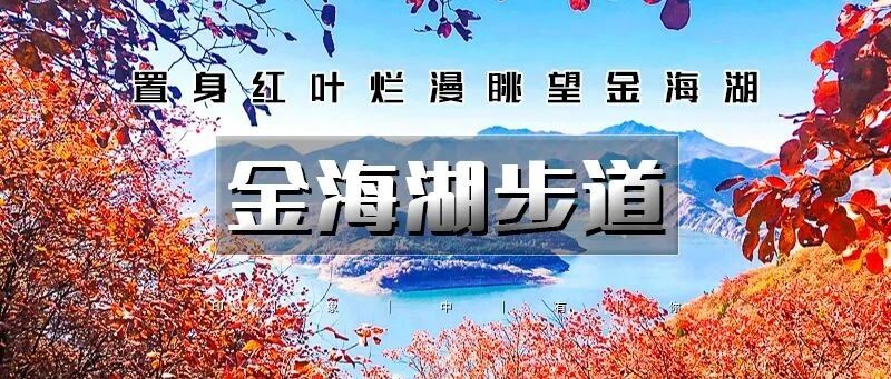 活动封面-不用早起 小众徒步栈道の一路湖光山色-金海湖环湖9公里休闲徒步（适合新人）