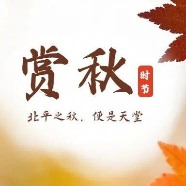 热门活动-「特惠-坡峰岭赏秋」11.8/11.9 | 国家地理推荐の2025火爆红叶观赏地-6公里环形赏红叶栈道-漫步红色海洋