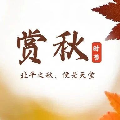 热门活动-「特惠-舞彩浅山」11.8/11.9 | 北京著名赏秋打卡圣地の休闲穿越-别致山景-小众原生态-打卡地道战