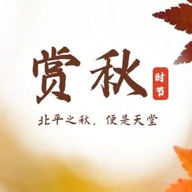 热门活动-「特惠-药王谷坡峰岭」11.8/11.9 | 秋染双谷の2025醉美赏红叶线路药王谷-坡峰岭徒步穿越-10公里<初级>