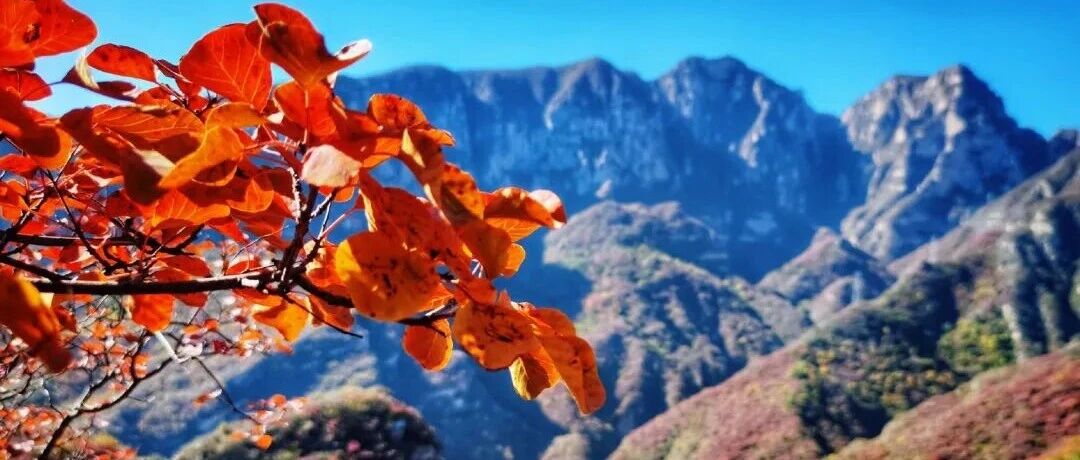 活动封面-坡峰岭-药王谷徒步！红叶秘境 [周六、周日]