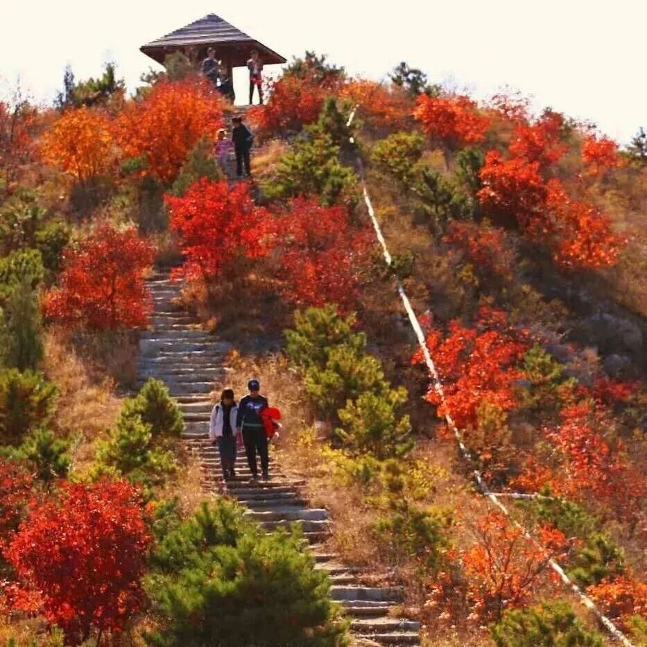 活动封面-舞彩浅山，红叶惊艳！8km休闲徒步 [周六、周日]