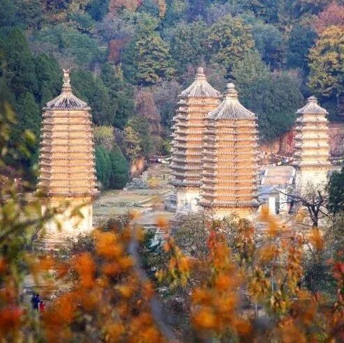 活动封面-【初级】11月8日：银山塔林赏秋