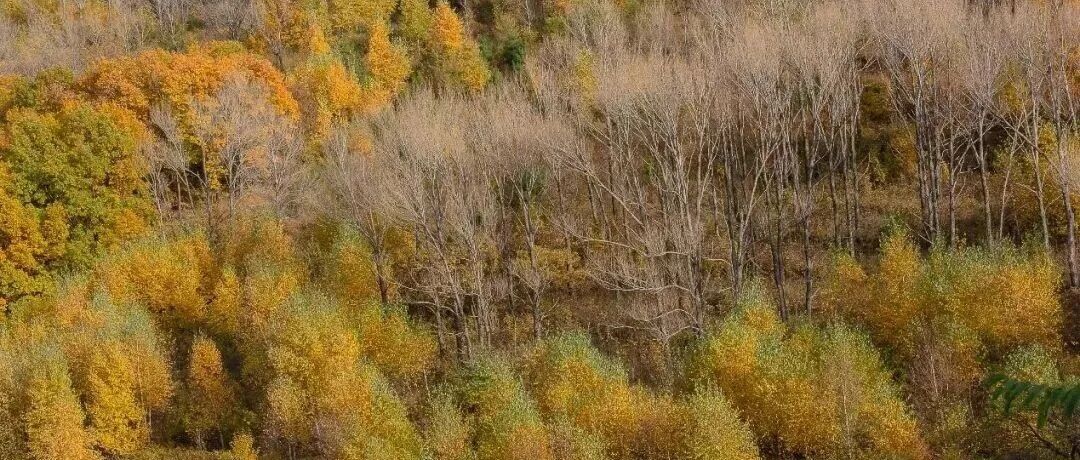 活动封面-【中级-/首发】11月9日：白岭关爬崖「户外探险」「恐高慎报」