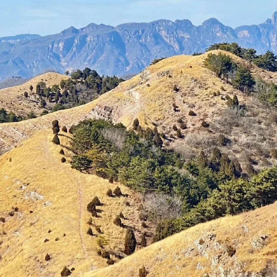【已成行】【初级】11月8日：歪顶坨-环秀湖「小武功山」「观山看海」