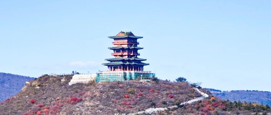 【已成行】【中级】11月8日：六寺连穿—银杏黄了