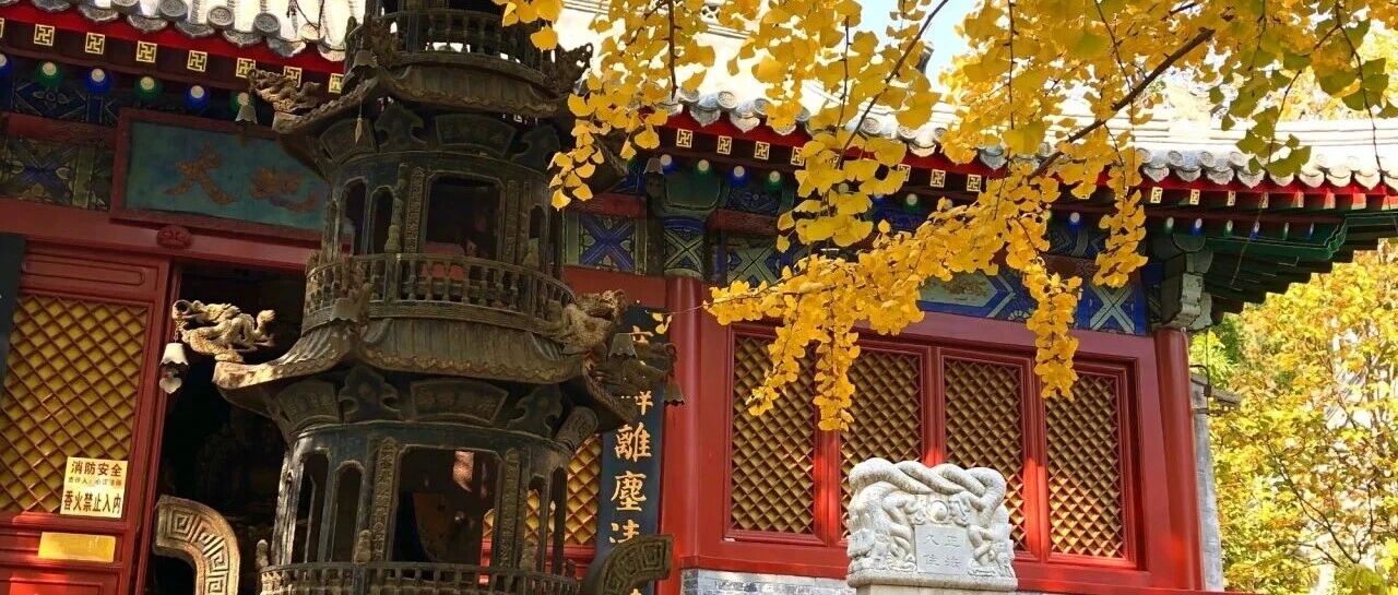 潭柘寺千年古刹+爨底下 [周六]