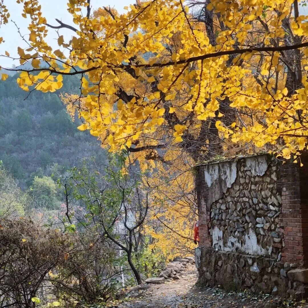 京门铁路-广化寺-西山古道-琉璃渠！休闲徒步 [周六]