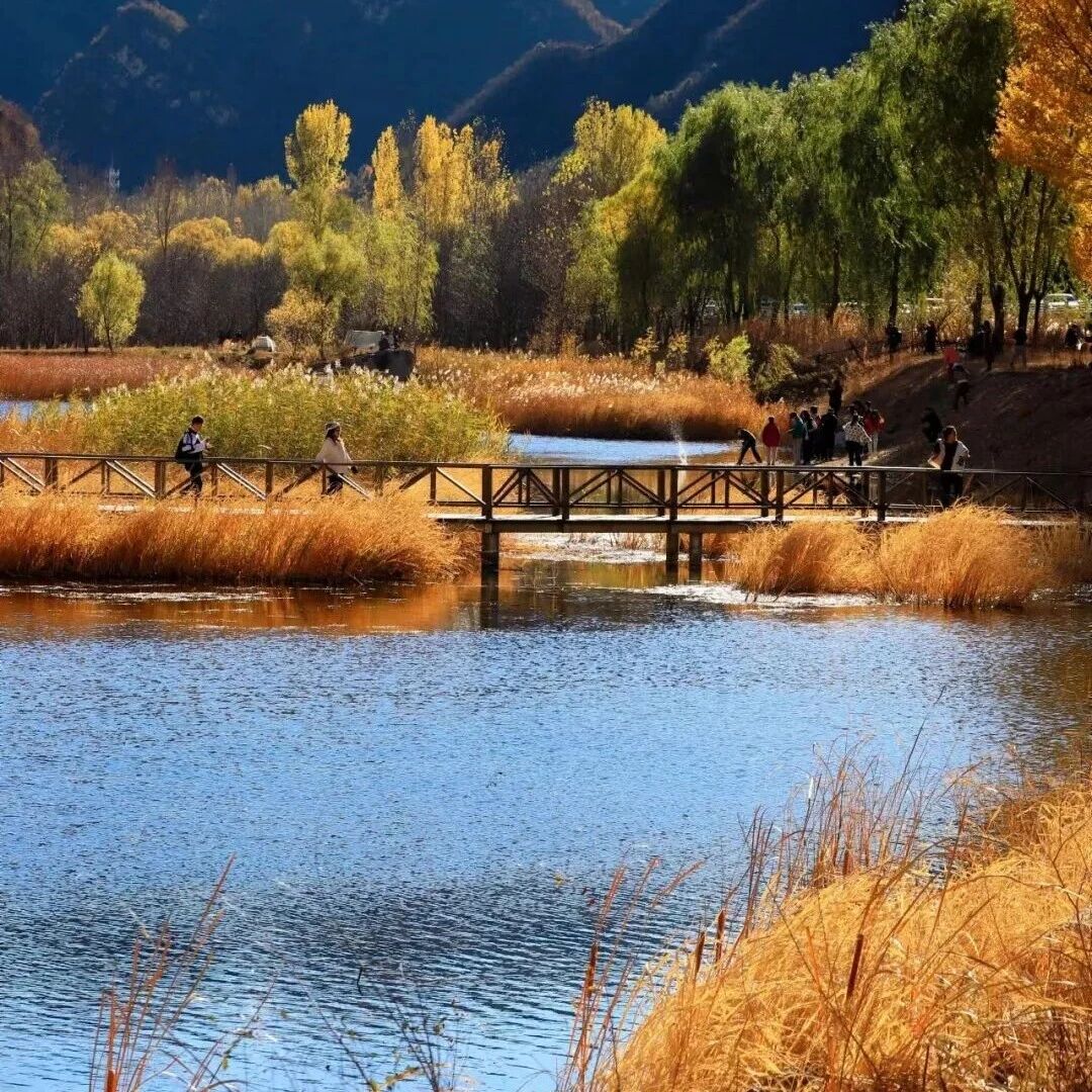 热门活动-百里画廊秋色！休闲徒步无爬升 [周六、周日]