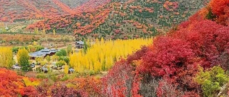 特价五彩浅山没门票 国家徒步道 漫山红叶 胜香山 舞彩浅山明月涧